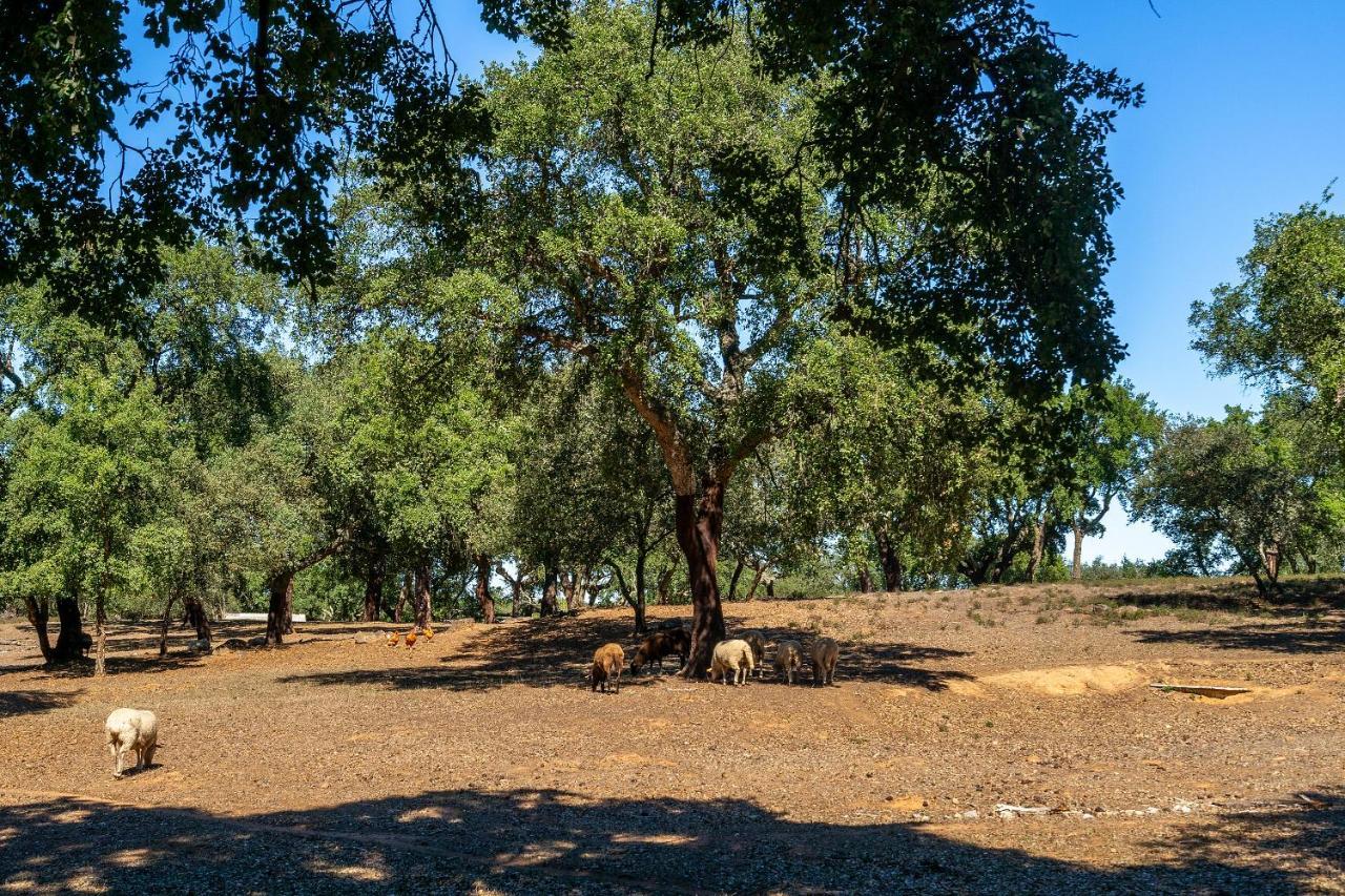 Chaparral Wonderful House In Nature 1H From Lisbon By Soulplaces Silveiras エクステリア 写真